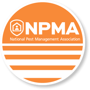 bpc pest control