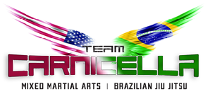 brazilian jiu jitsu essex