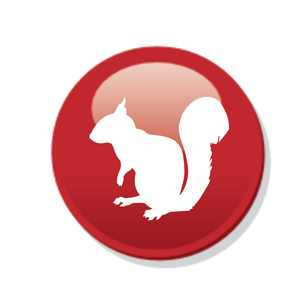 pest control essex