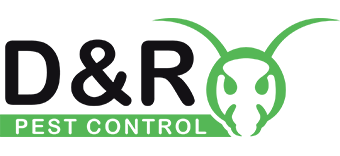 pest control hornchurch